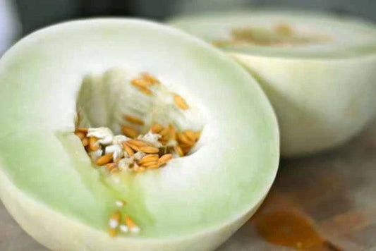 Honeydew Melon Seeds - Green Flesh Cucumis melo, Vining, Sweet Juicy Fruit for Home Garden, Non-GMO, 25+ Seeds