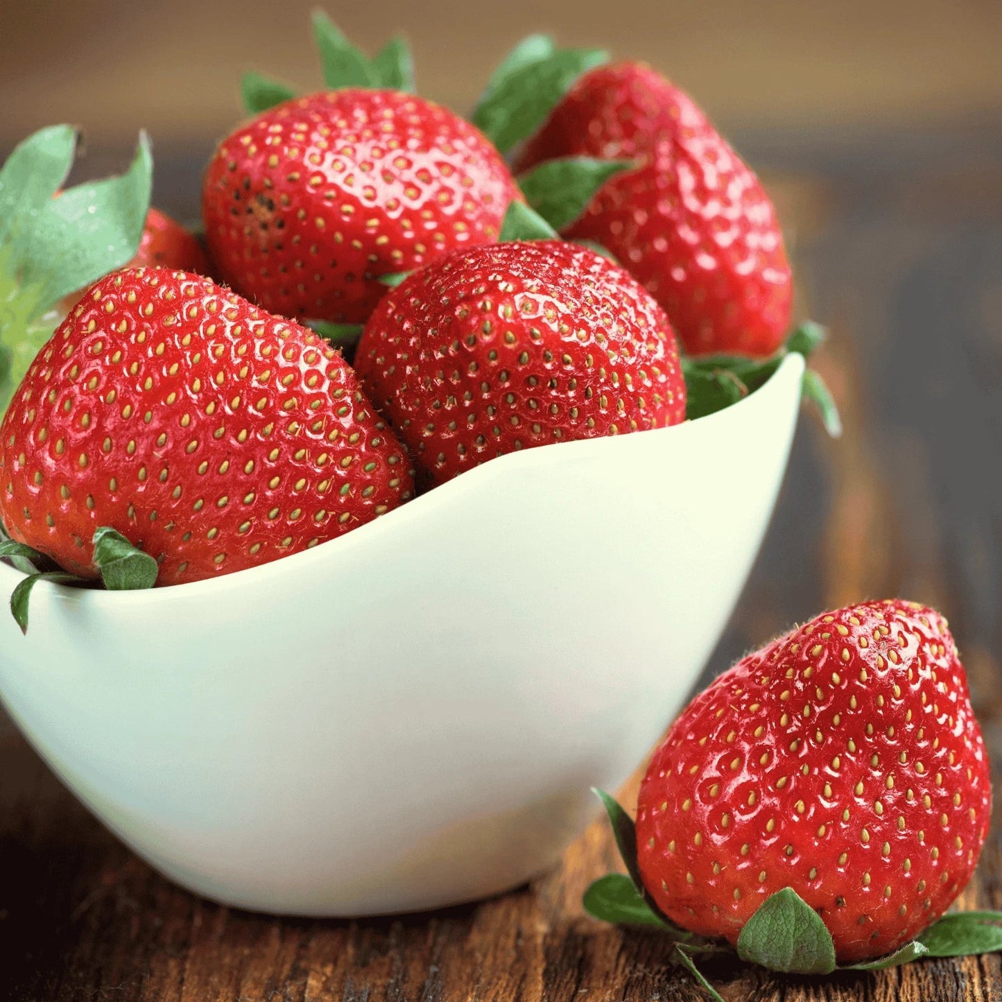 Cabot Strawberry Roots – Extra-Large Bare Root June-Bearing Fragaria × ananassa for Home Garden, Pot, or Bed