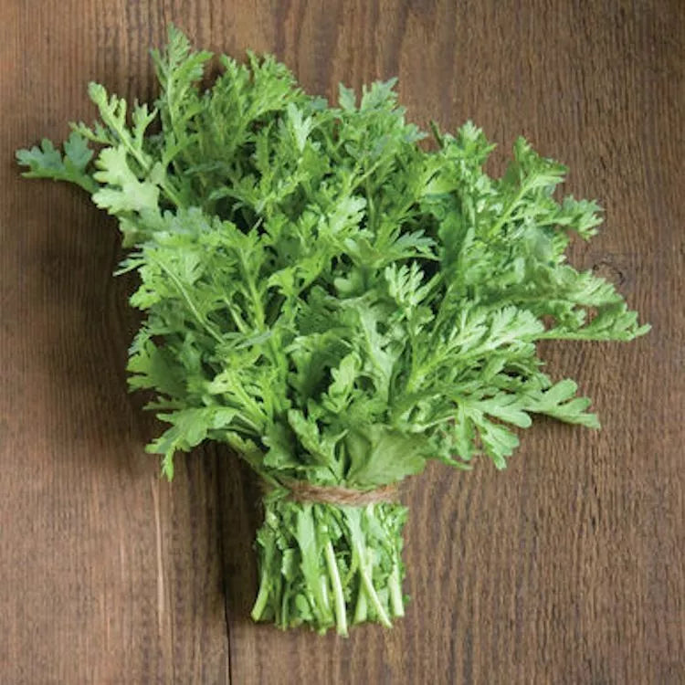 300 Shungiku Seeds Edible Chrysanthemum Asian Greens Choy Suy-Tongho Non-GMO Seed Pack