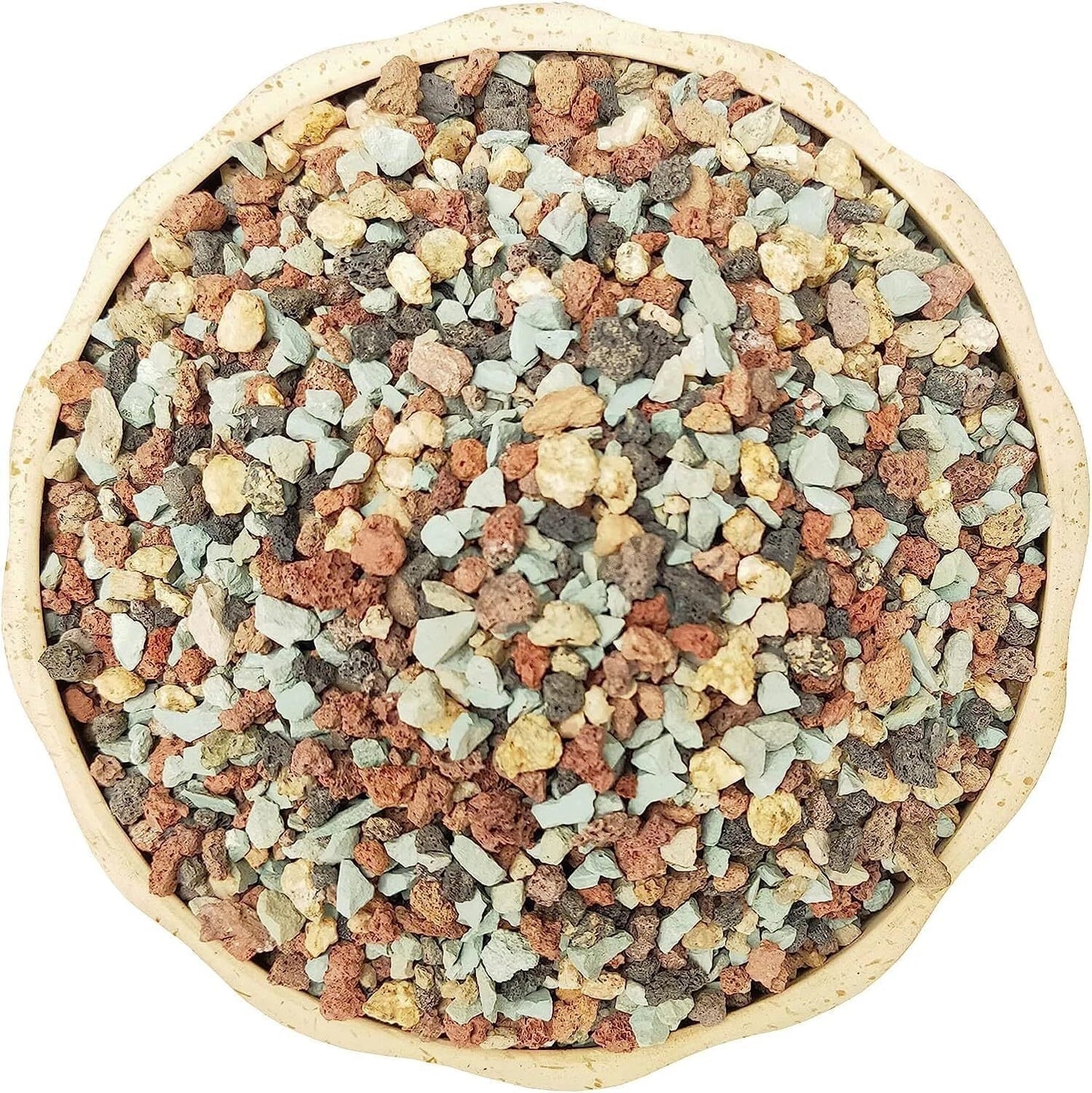 5Lb Succulent Soil Mix - Gritty Cactus and Succulent Potting Soil for Drainage and Root Health