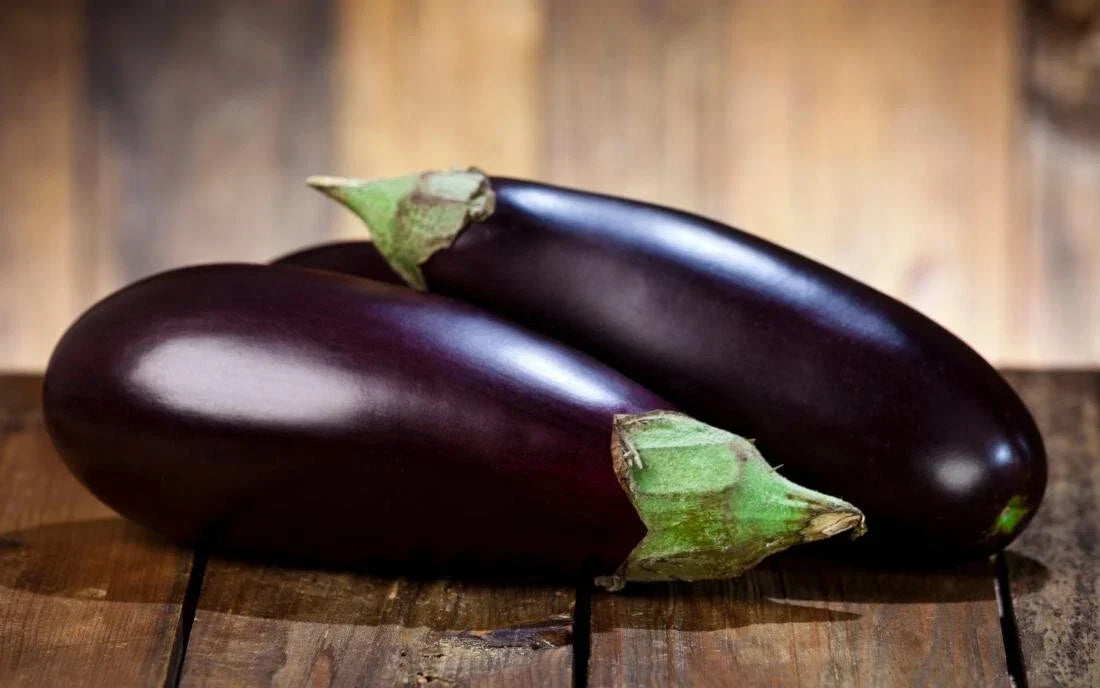 Eggplant Seeds Pack of 5 - Heirloom Solanum melongena for Home Garden, Container Growing, Purple Fruit, Non-GMO, Free USA Shipping