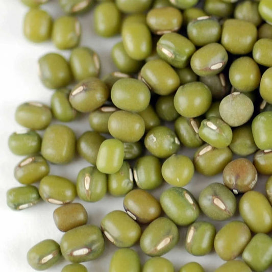 Mung Bean Seeds Pack of 100 | Non-GMO Vigna radiata for Sprouting, Gardening & Cooking