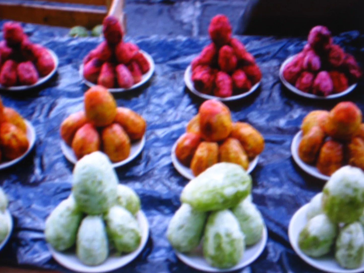 Edible Cactus Seeds 9 Pack Opuntia spp. Prickly Pear Fruit & Pads for Culinary Use