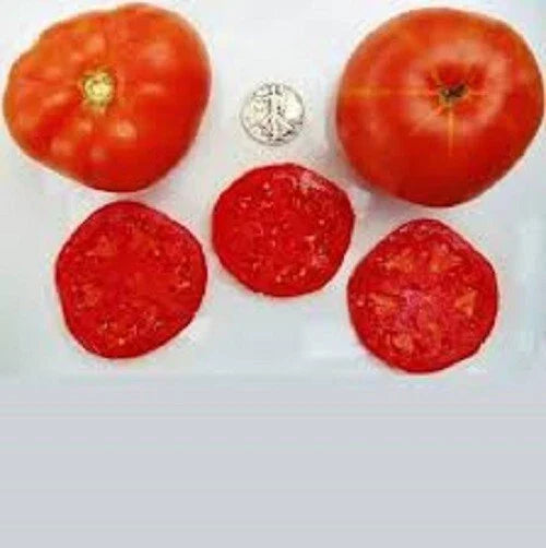 Trophy Seeds - 25 Fresh Assorted Varieties for Gardening - Trophyus viridis - Non-GMO, Easy to Grow Planting Seeds