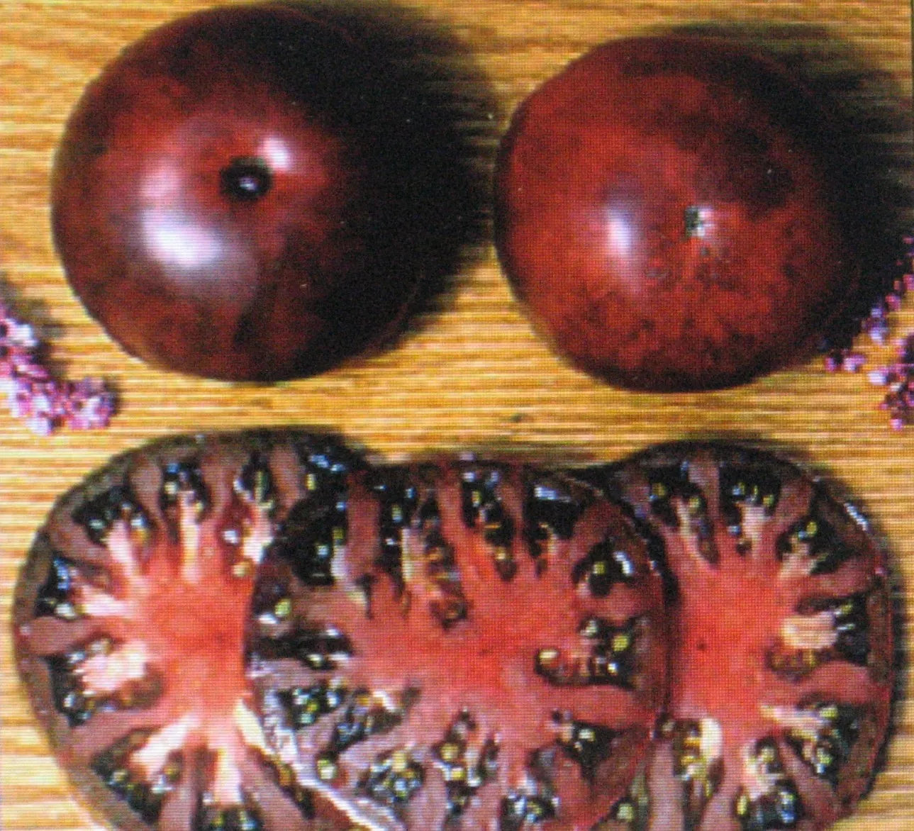 Bulk 50 Black Tomato Seeds | Heirloom Solanum lycopersicum | Large, Flavorful Gourmet Black Tomatoes
