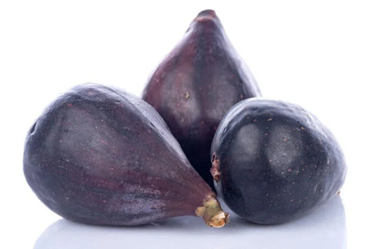 LSU Gold Fig Seeds - 100+ Ficus carica Fruit Tree Seeds for Garden Planting, Full Sun, USA Grown