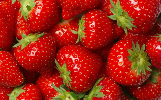 Jewel Strawberry Plants – 5 Root Clusters – Junebearing Fragaria × ananassa – Hardy Zone 4-8 – Fresh, Flavorful Berries for Home Gardens