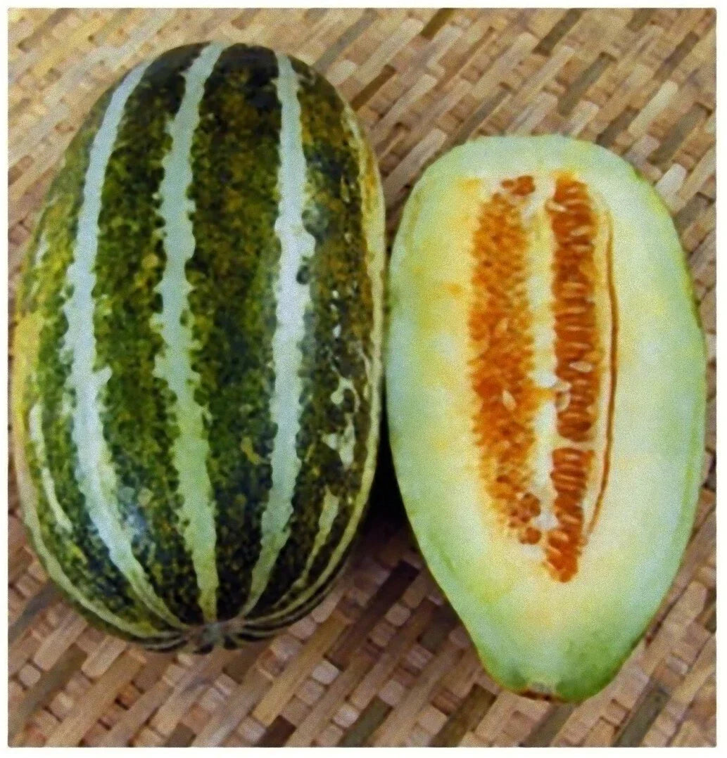 Thai Melon Seeds - 20+ Cucumis melo var. inodorus Muskmelon Seeds for Home Garden, Sweet Green & Yellow Striped Fruit, Non-GMO