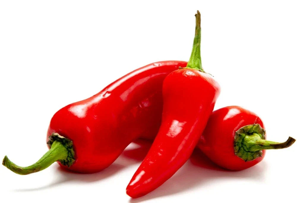 Fresno Chili Pepper Seeds | Heirloom, Non-GMO, Capsicum annuum | Fresh Garden Seeds for Cooking & Snacking
