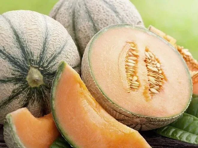 Extra Sweet Tuscan Cantaloupe Seeds 50 Pack, Rockmelon, Cucumis melo, Heirloom Variety for Home Gardening 2024