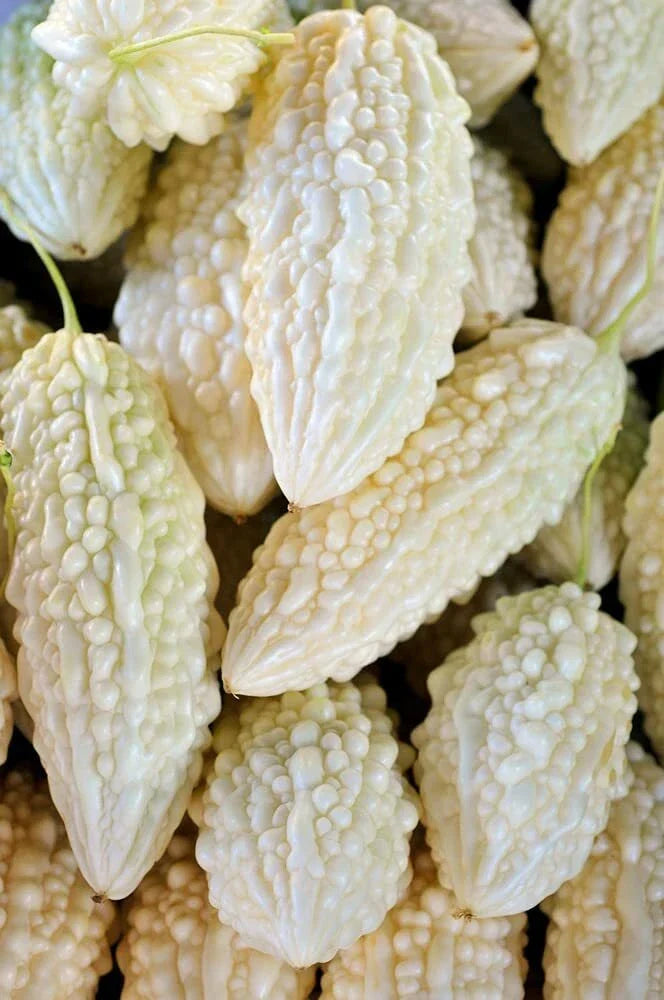 Exotic Bitter Gourd Seeds - 10 Pack White Variety - Momordica charantia for Planting Bitter Melon