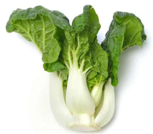 Pak Choi Seeds | Canton White Stem Chinese Cabbage | Brassica rapa subsp. chinensis | Fast Growing Vegetable Seeds