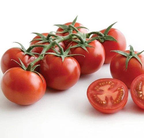 Sweet Campari Tomato Seeds - 50 Premium Solanum lycopersicum for Home Garden, Container, and Salad Use