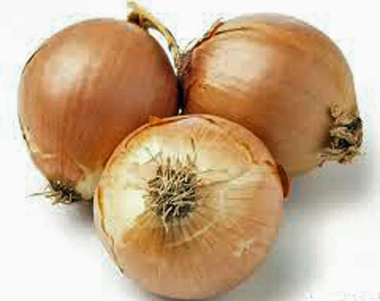 Onion Seeds 500 Count, Spanish Yellow Heirloom, Non-GMO Allium cepa Vegetable Seeds for Home Gardening