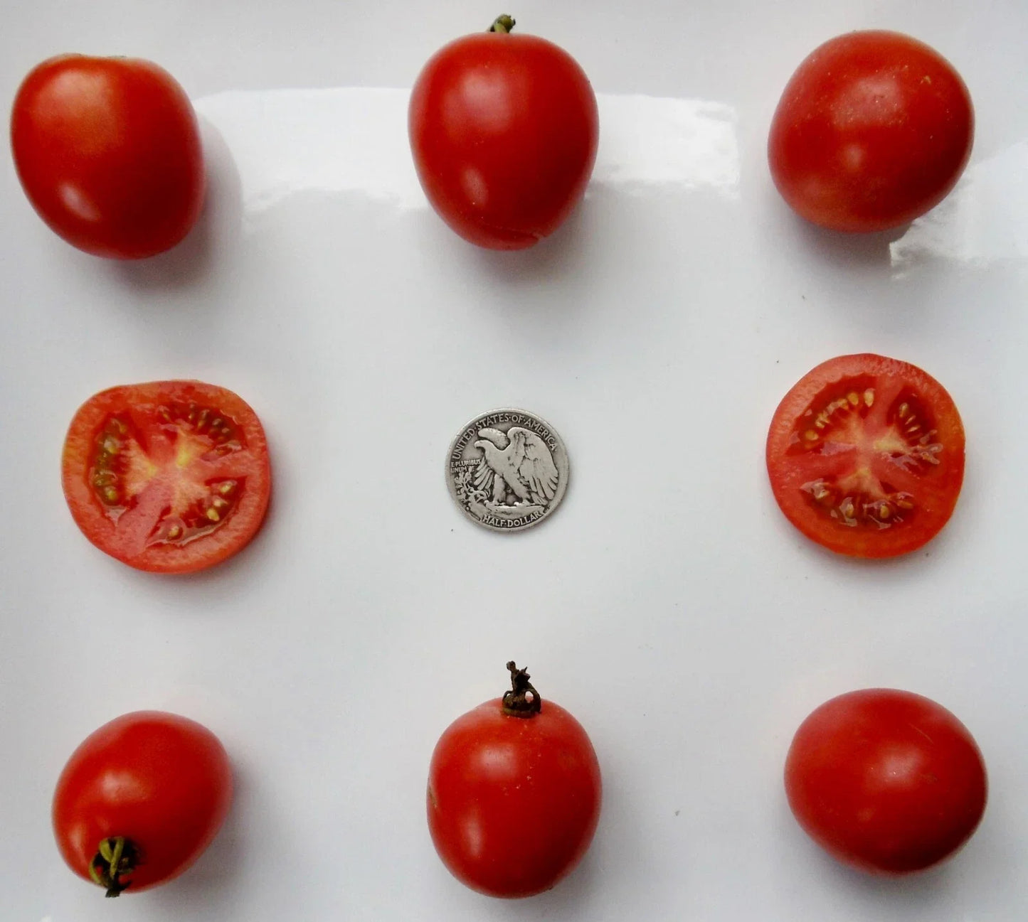 Northern Delight Seeds - Very Early Variety for Quick Harvest, 25 Non-GMO Seeds for Home Garden, Container & Raised Bed Planting