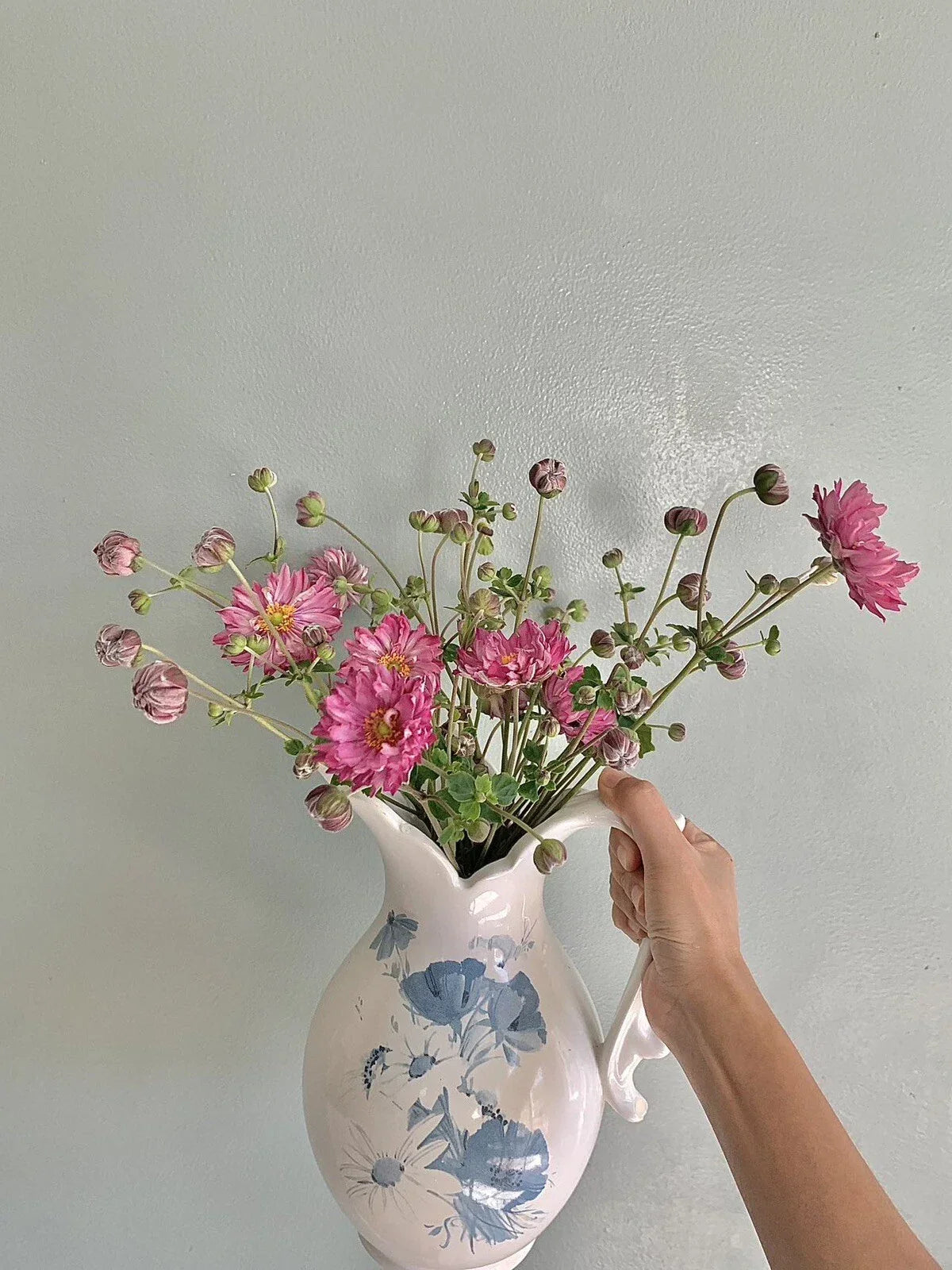 Pink Japanese Anemone Bare Root Plant – Hardy Perennial, Fall Blooming, Anemone hupehensis, Garden Flower, Pollinator Attracting