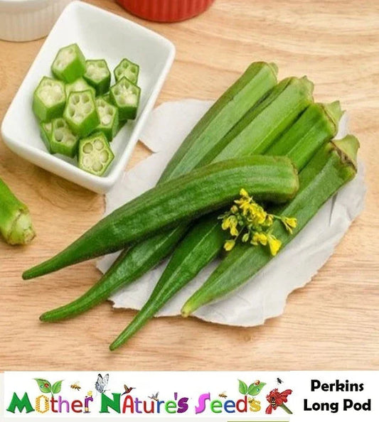 Okra Seeds - Perkins Long Pod, Heirloom, Non-GMO, High Yield, Abelmoschus esculentus, 50 Seeds for Pickling & Gumbo