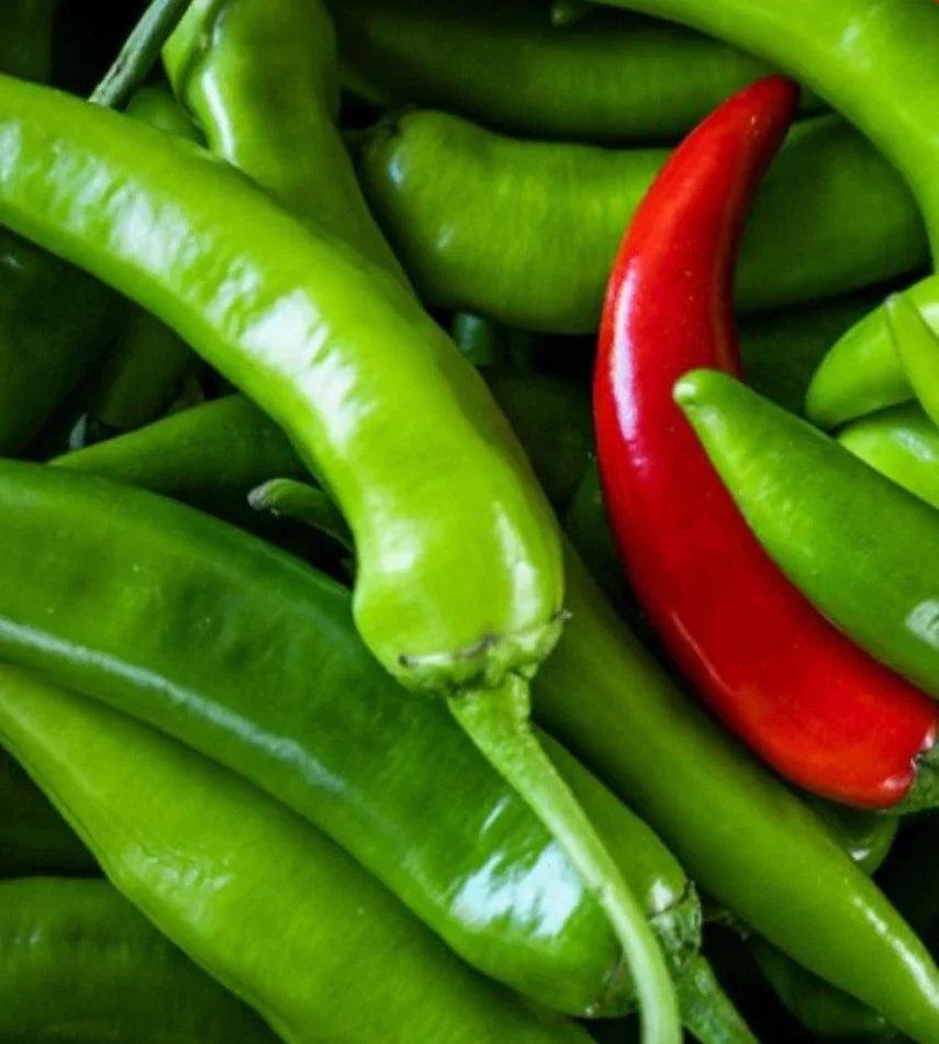 Serrano Hot Pepper Seeds | 200 Non-GMO Capsicum annuum for Spicy Cooking & Salsas | Heirloom Variety Seed Packet