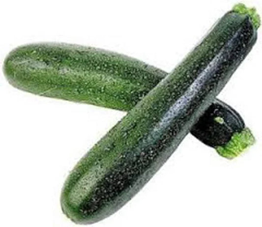 Heirloom Black Beauty Zucchini Seeds – Non-GMO Cucurbita pepo, 500 Seeds for Vegetable Garden, Bush Type, Organic, Full Sun