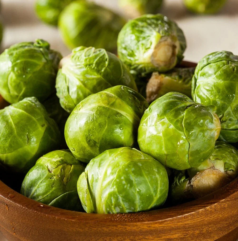 Brussel Sprouts Seeds for Planting | 600+ Non-GMO Green Varieties | Brassica oleracea var. gemmifera