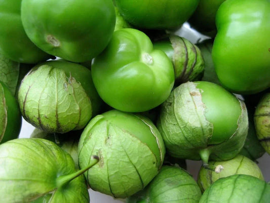 Grande Rio Verde Tomatillo Seeds - 50 Non-GMO Organic Mexican Husk Tomato Seeds for Salsas & Sauces