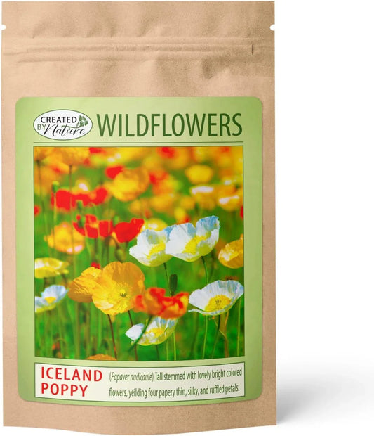 Iceland Poppy Seeds 34,700 Count Non-GMO Pollinator Plants Papaver nudicaule Easy-to-Grow