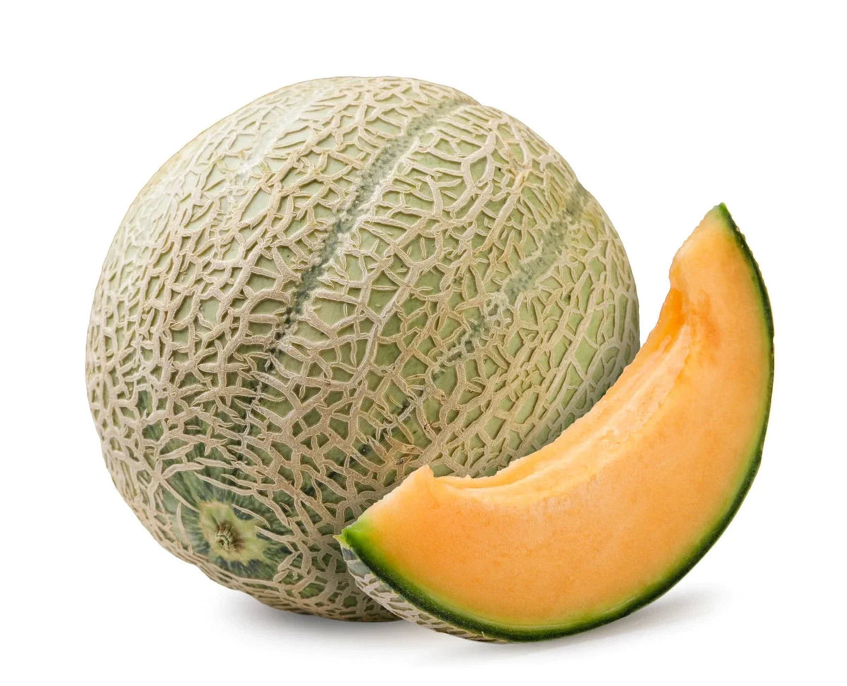 Hales Best Jumbo Cantaloupe Seeds - Non-GMO - Cucumis melo - Ideal for Home Gardening - Sweet and Juicy Flavor