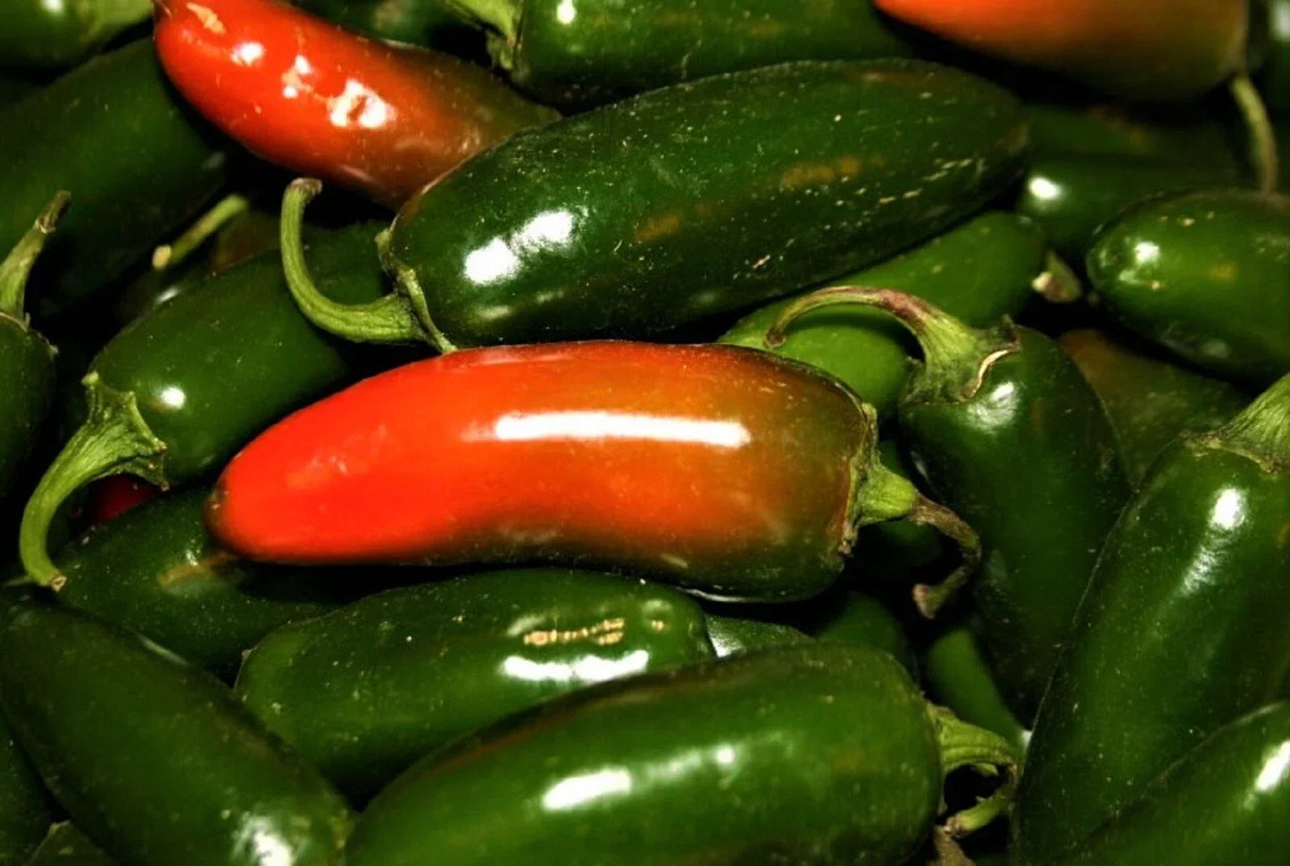 Jalapeno Hot Pepper Seeds - 50+ Non-GMO Capsicum annuum for Home Gardens, Salsas & Spicy Cooking