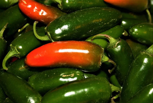 Jalapeno Hot Pepper Seeds - 50+ Non-GMO Capsicum annuum for Home Gardens, Salsas & Spicy Cooking