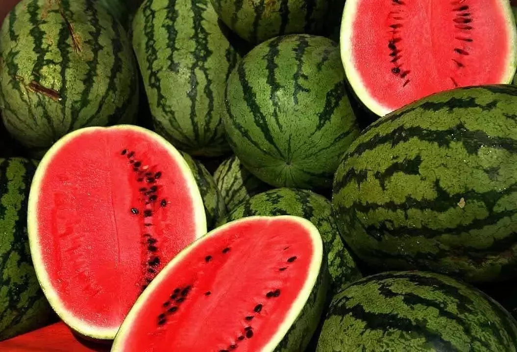 Kleckley's Sweet Watermelon Seeds - Heirloom Citrullus lanatus, Large, Sweet, 100+ Seeds for Home Garden & Farming