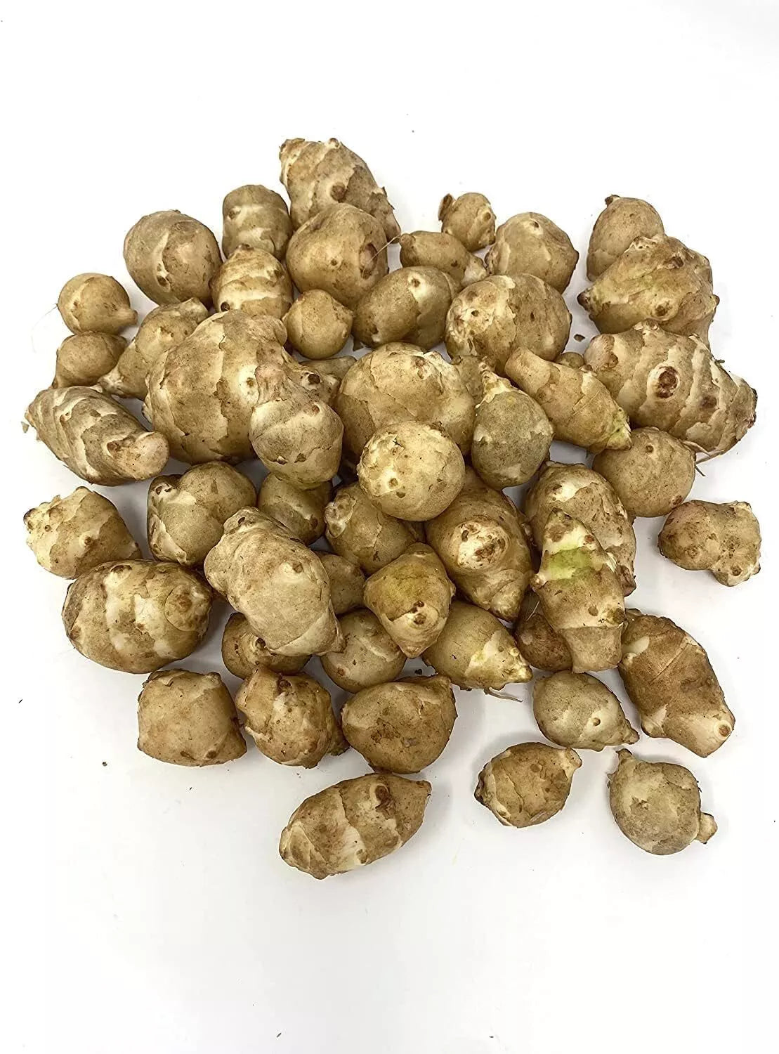 Organic Sunchoke Tubers for Planting - White Jerusalem Artichoke - Helianthus tuberosus - Non-GMO Edible Tubers