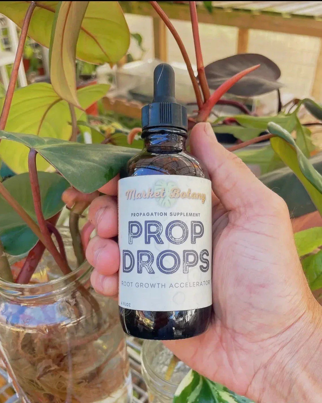 Propagating Plant Drops | Indoor Gardening Root Growth Solution | Liquid Plant Propagation Aid | Natural Rooting Enhancer