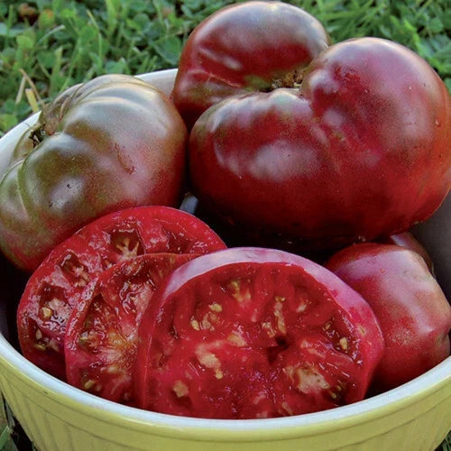 Black Krim Tomato Seeds | Heirloom, Non-GMO, Organic Vegetable Seeds | Solanum lycopersicum, Dark Red Tomatoes for Salads & Sauces