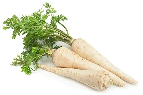 All American Parsnip Seeds - 250+ Non-GMO Pastinaca sativa for Root Vegetable Gardening