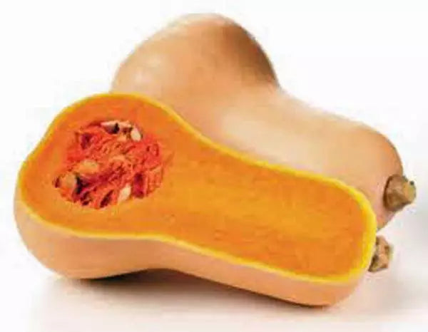 Butternut Squash Seeds - Heirloom Waltham Cucurbita moschata, 100 Non-GMO Seeds for Home Garden, Fall & Winter Crops