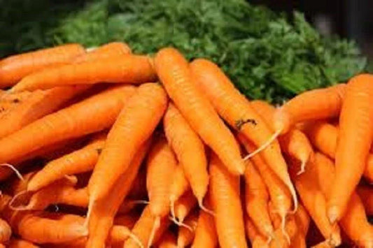 Organic Heirloom Carrot Seeds - Danvers 126 Variety, Non-GMO, Sweet Flavor, Daucus carota, 200 Seeds