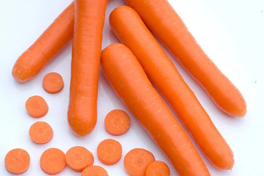 Bolero Carrot Seeds - 1000+ Non-GMO Heirloom Daucus carota for Garden Planting, Home Gardening, Container Growing