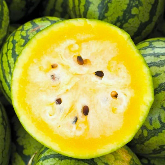 Mountain Sweet Yellow Watermelon Seeds - Citrullus lanatus - Bright Yellow Flesh, Juicy, Non-GMO, Full Sun, Vining, 25 Seeds Packet