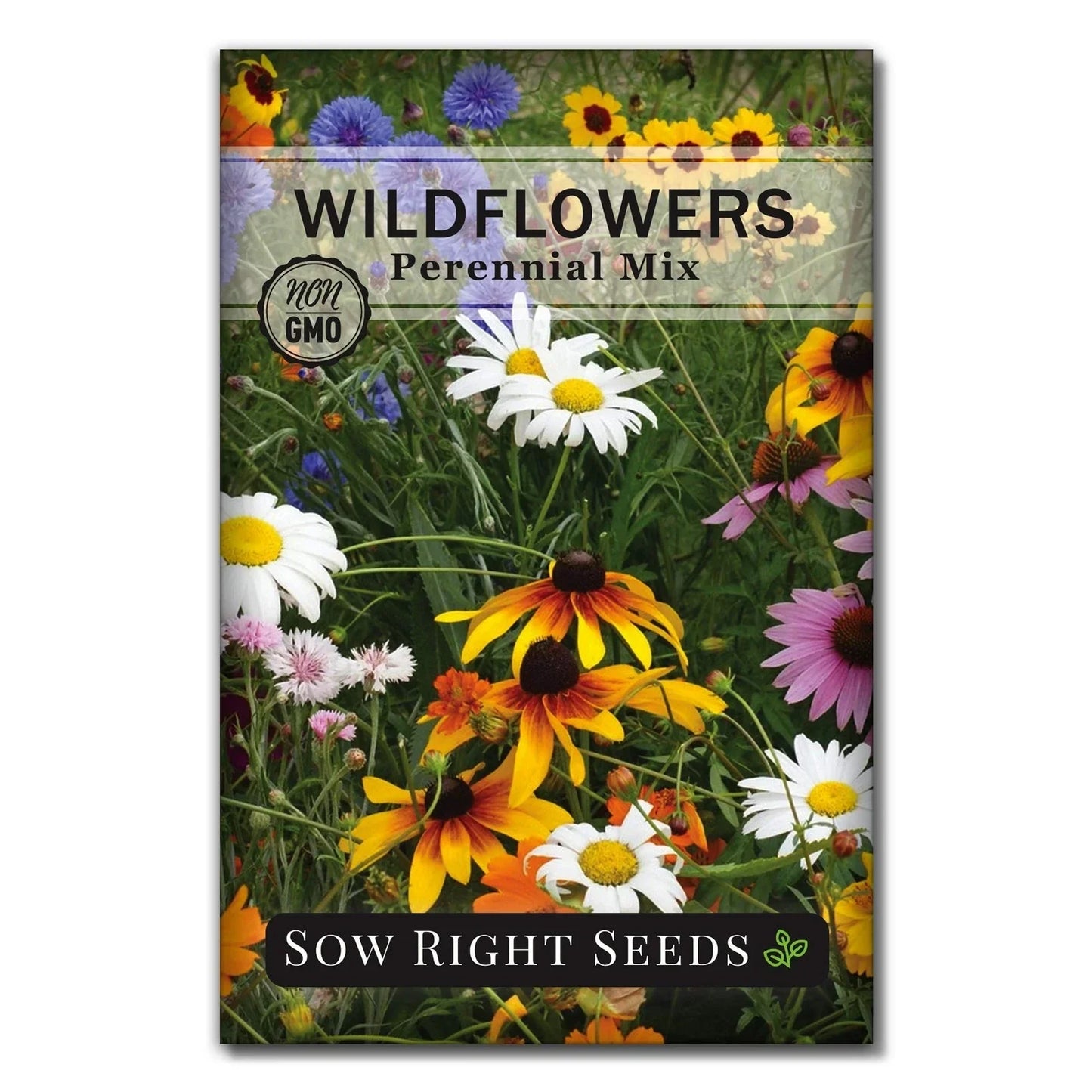 Wildflower Seeds Mix Packet - Non-GMO Heirloom Perennials for Natural Gardens - Easy Planting with Instructions