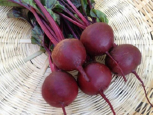 Beet Seeds 8000 Count Detroit Dark Red Frost Hardy Beta vulgaris Non-GMO Culinary Variety