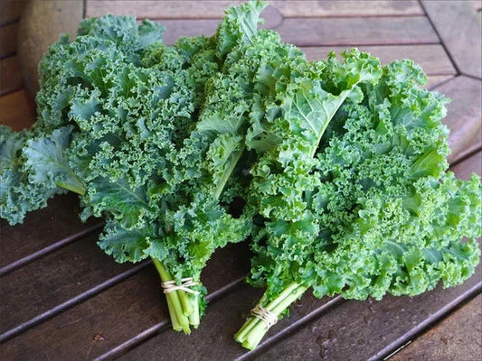 Kale Seeds - 15 Pack - Non-GMO Brassica oleracea var. sabellica - Organic Vegetable Seeds for Home Gardening