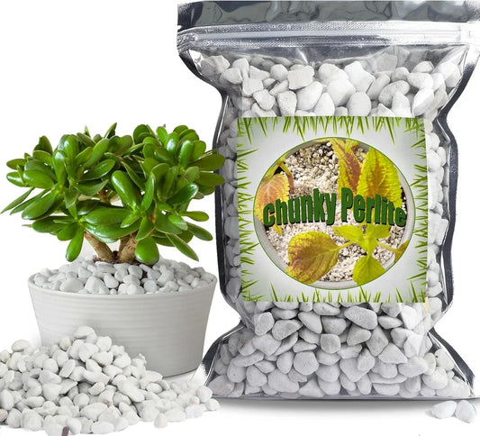 Organic Chunky Perlite for Plants, 1qt, Soil Aeration, Drainage, Hydroponics, 0.4"-0.8" Diameter, Natural Growing Medium