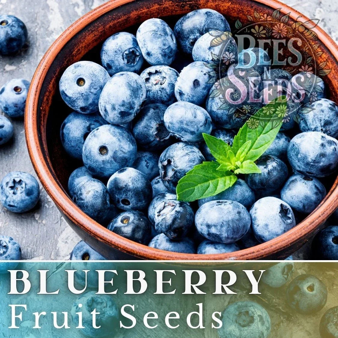 Blueberry Seeds Bulk - Non-GMO Vaccinium corymbosum Fruit Seeds for Organic Gardening, 200/750/3,200 Seeds