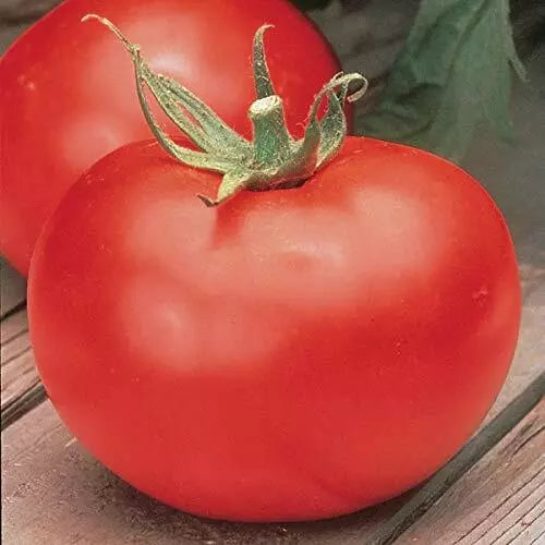 Big Boy Tomato Seeds F1 Hybrid Non-GMO Heirloom Solanum lycopersicum Seed Packet