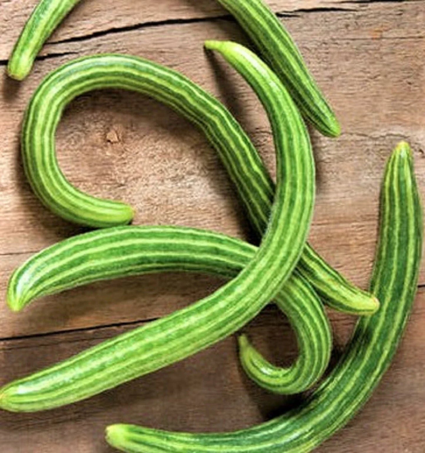 Dark Armenian Cucumber Seeds – Non-GMO Heirloom Variety – Cucumis sativus – Vining, Long Dark Green Cucumbers for Salad & Pickling
