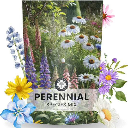 Perennial Wildflower Seed Mix Bulk 1/4 Pound – Native Flower Varieties for Pollinator Gardens, Easy to Grow, 60,000 Seeds