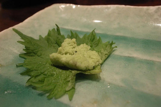 Green Shiso Seeds - Perilla frutescens var. crispa - Japanese Herb Seeds for Culinary & Gardening