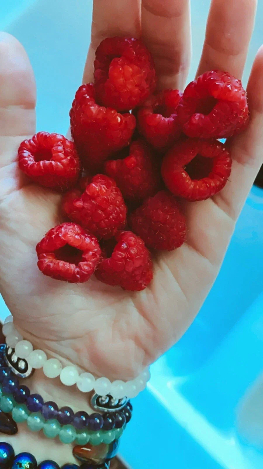 Red Raspberry Seeds Pack of 500 - Edible Berry Vine - Rubus idaeus - Home Garden, Perennial Climber for Fresh Berries
