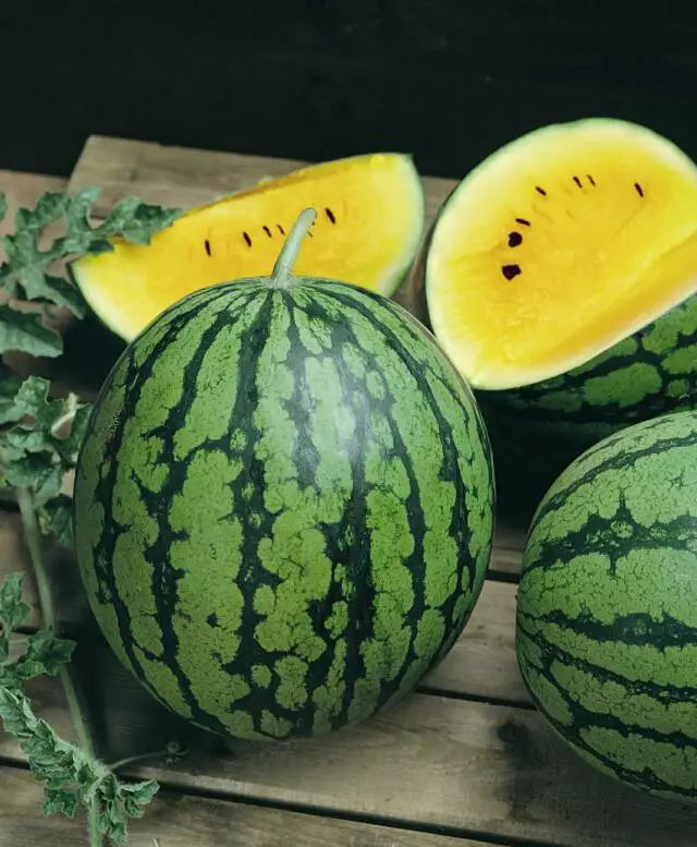 Baby Doll Yellow Watermelon Seeds – Compact Vines, Bright Yellow Flesh, Citrullus lanatus, Sweet & Early Maturing
