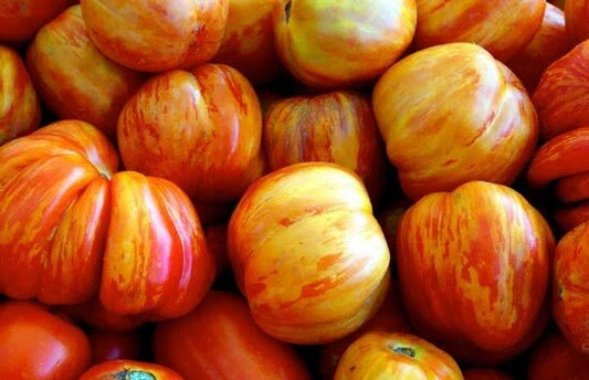 Old German Tomato Seeds - Heirloom Lycopersicon esculentum for Home Gardening, Large Ribbed Fruit, Non-GMO, High Yield
